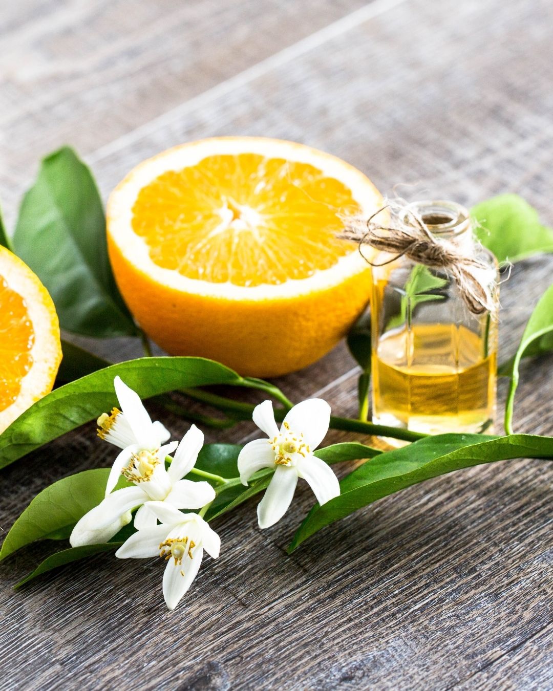 aroma hotel bintang lima