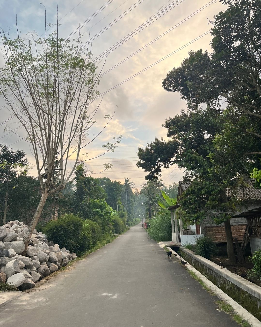 jalanan di Indonesia