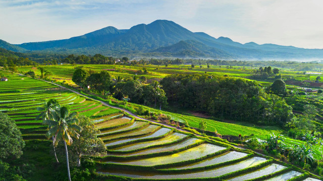 Kenapa Solo Adalah Destinasi Wisata Ideal untuk Bapak yang Tinggal di JABODETABEK