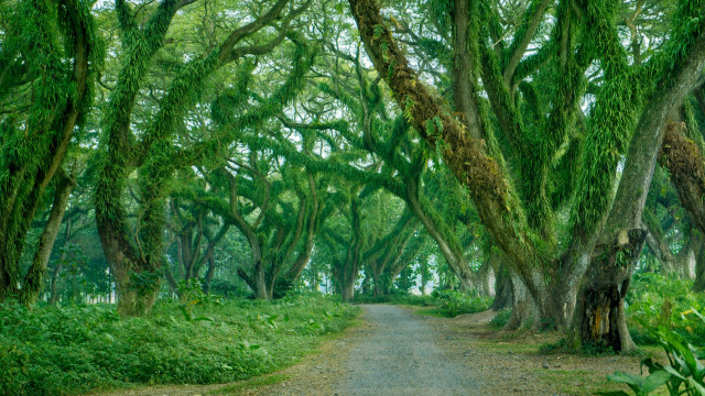 rekomendasi wisata buat 4 hari