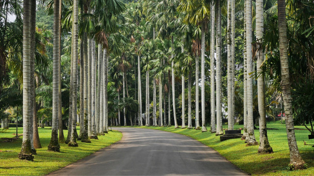 rekomendasi tempat jogging di bogor-krb