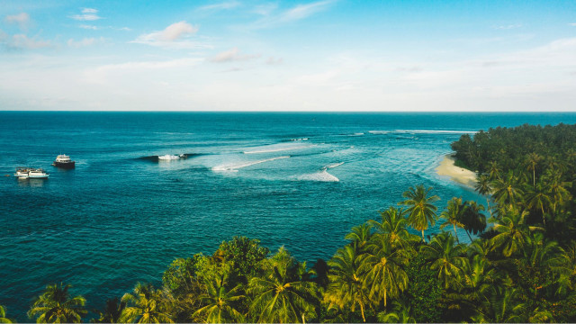 Mentawai-hawaii