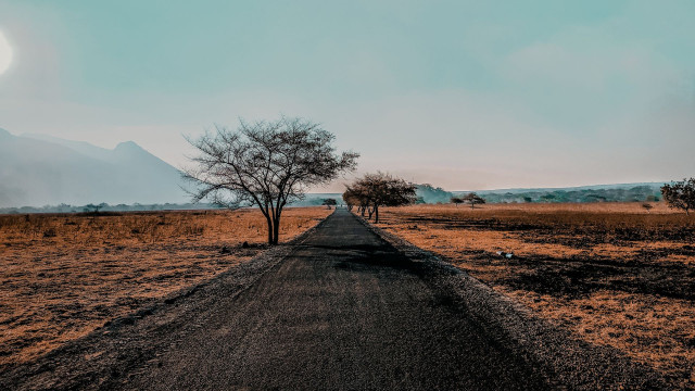 Baluran National Park-Serengeti