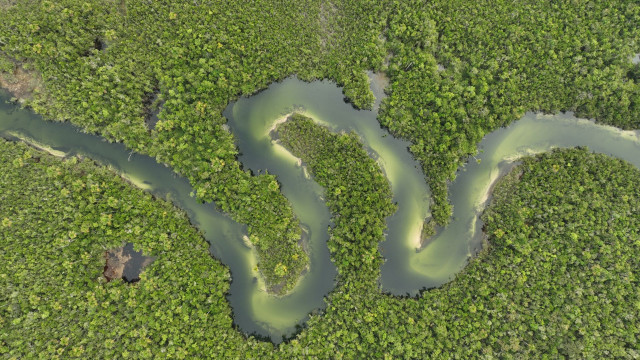 Amazon-sungai kapuas