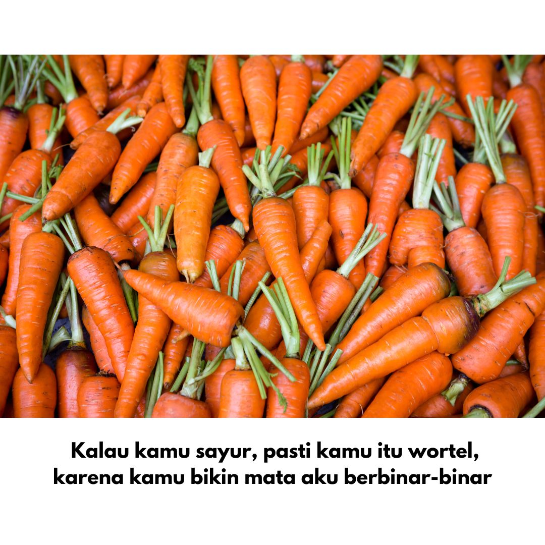 gombalan bapak bapak