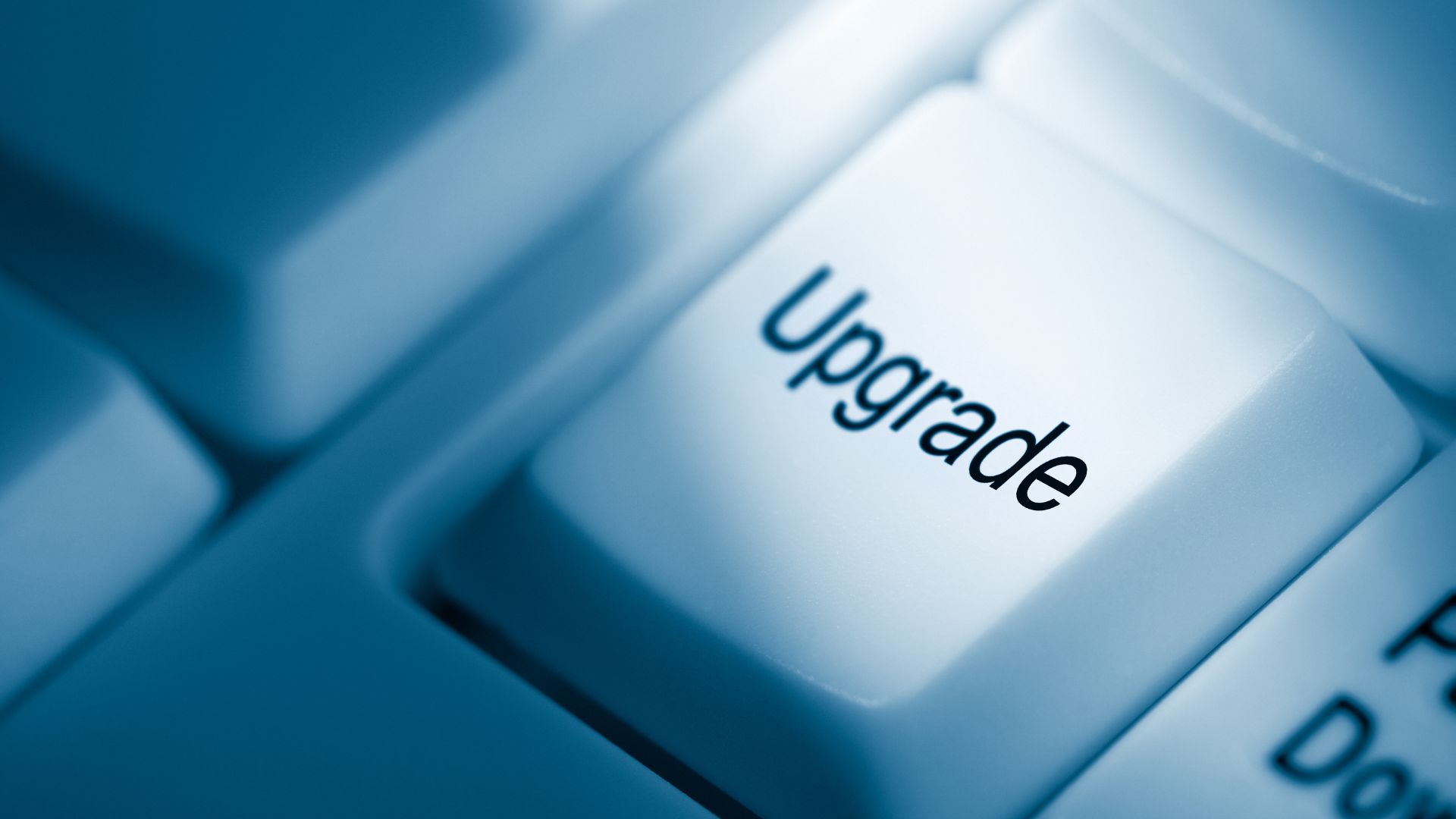 Fenomena Beberapa Perusahaan Besar yang PHK Karyawannya Besar-Besaran