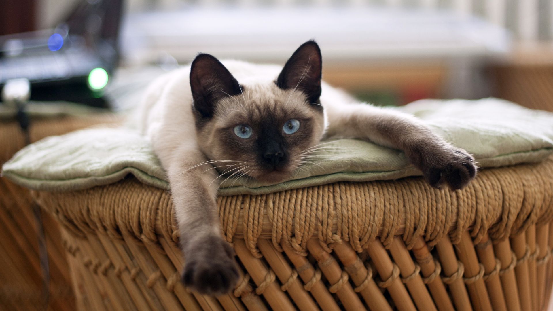 Hal-Hal yang Dulu Kagak Disukai Warga, Sekarang Malah Doyan