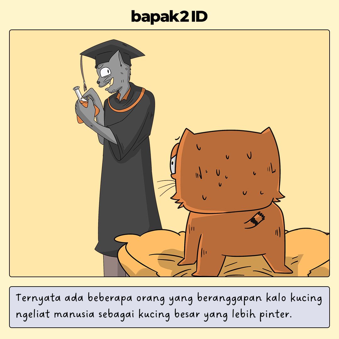 Kucing Piaraan di Rumah Ngeliat Bapak Sebagai Apa Sebenernya?