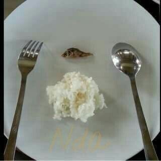 ide makanan yang bisa bapak pilih kalo bingung mau makan apa