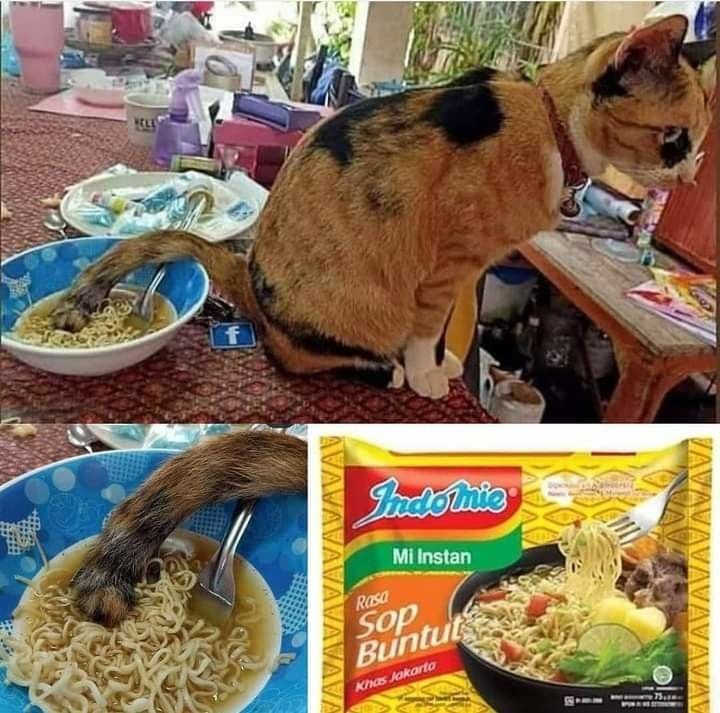 ide makanan yang bisa bapak pilih kalo bingung mau makan apa