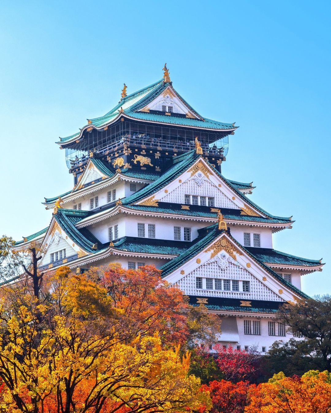 Rekomendasi Negara-Negara untuk Liburan yang Muslim Friendly-Jepang