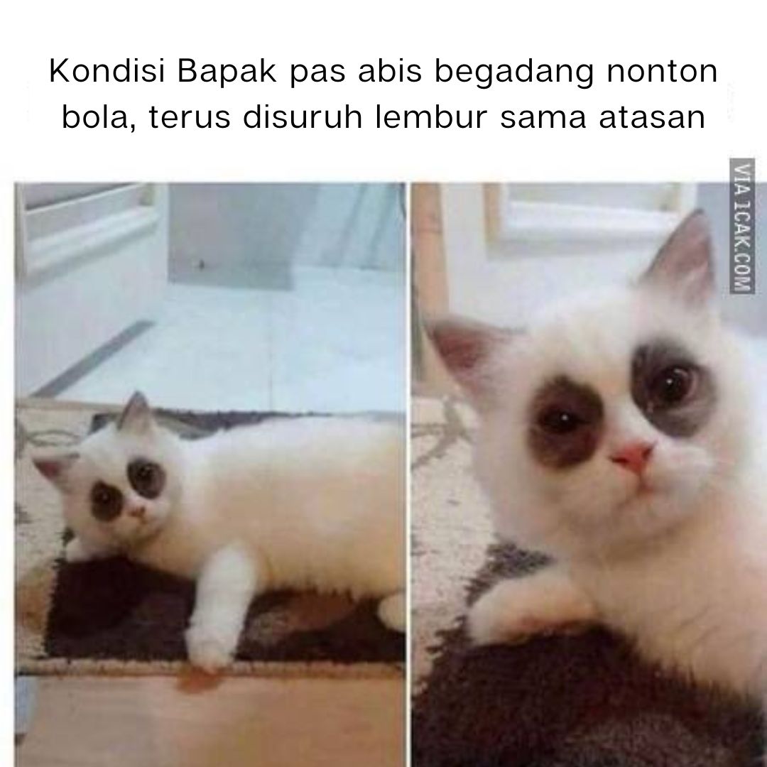 gambar-lucu-meme-bapak-bapak