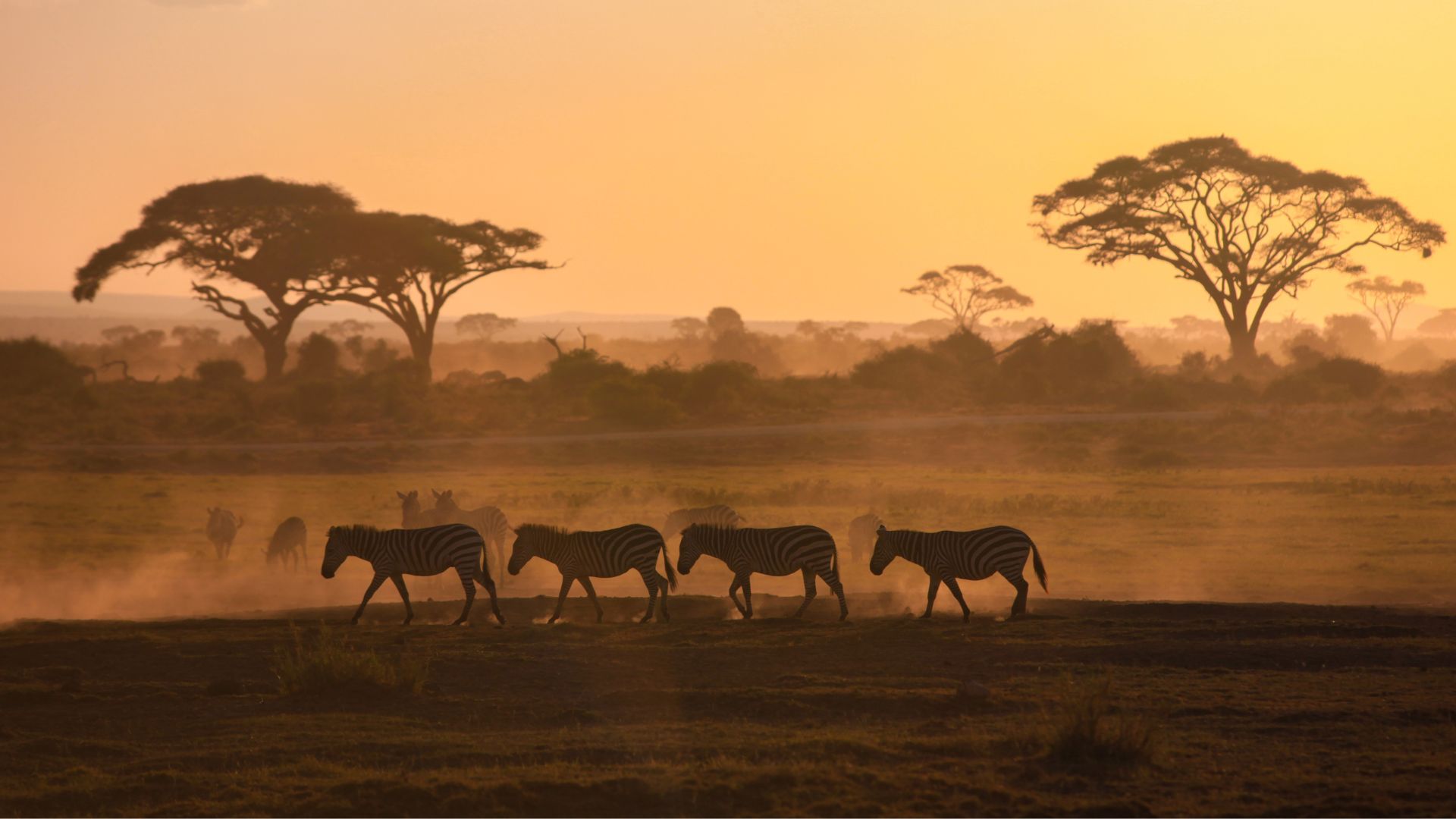 Rekomendasi Negara Beserta Bulan yang Cocok buat Liburan ke Luar Negeri Part 2