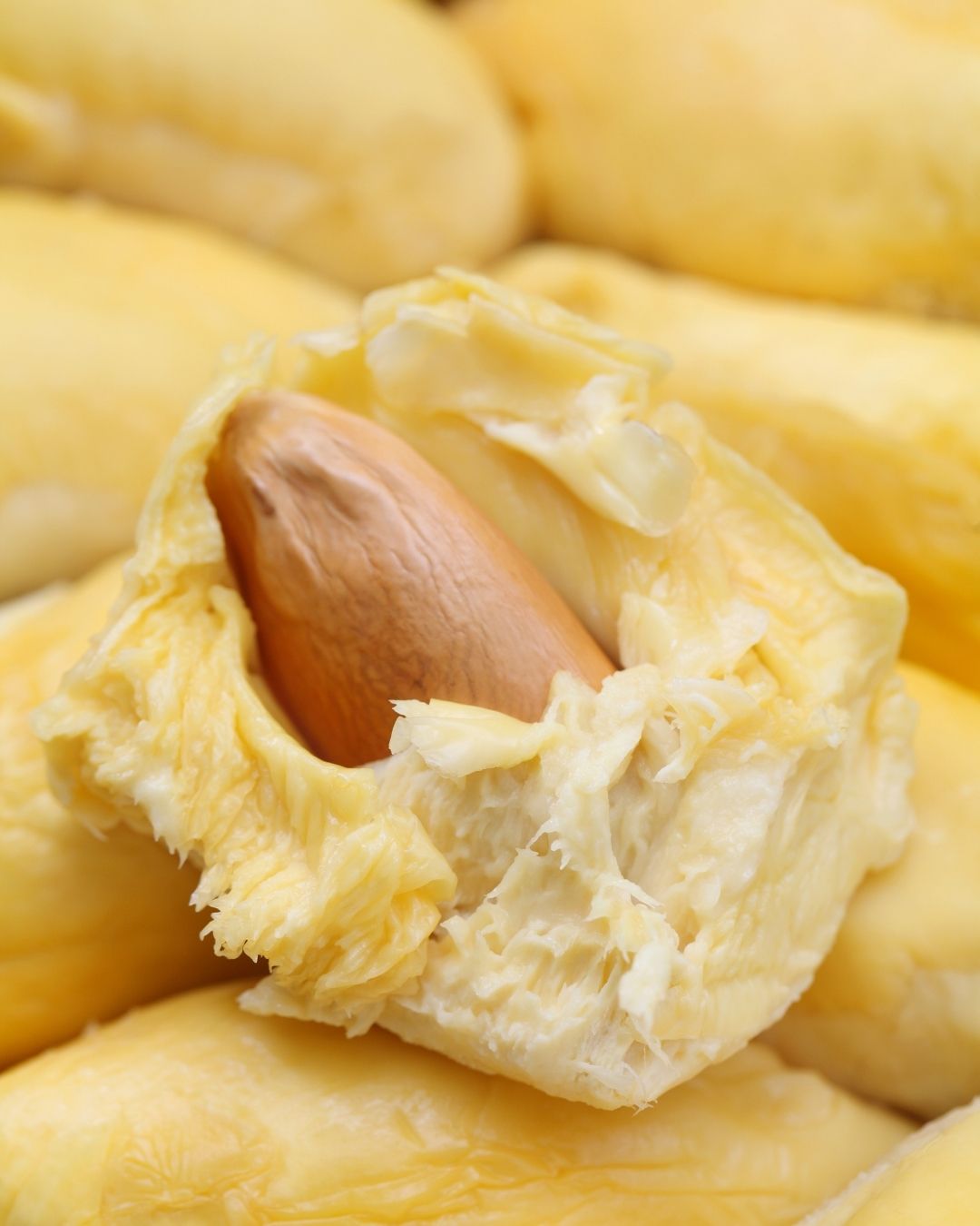durian