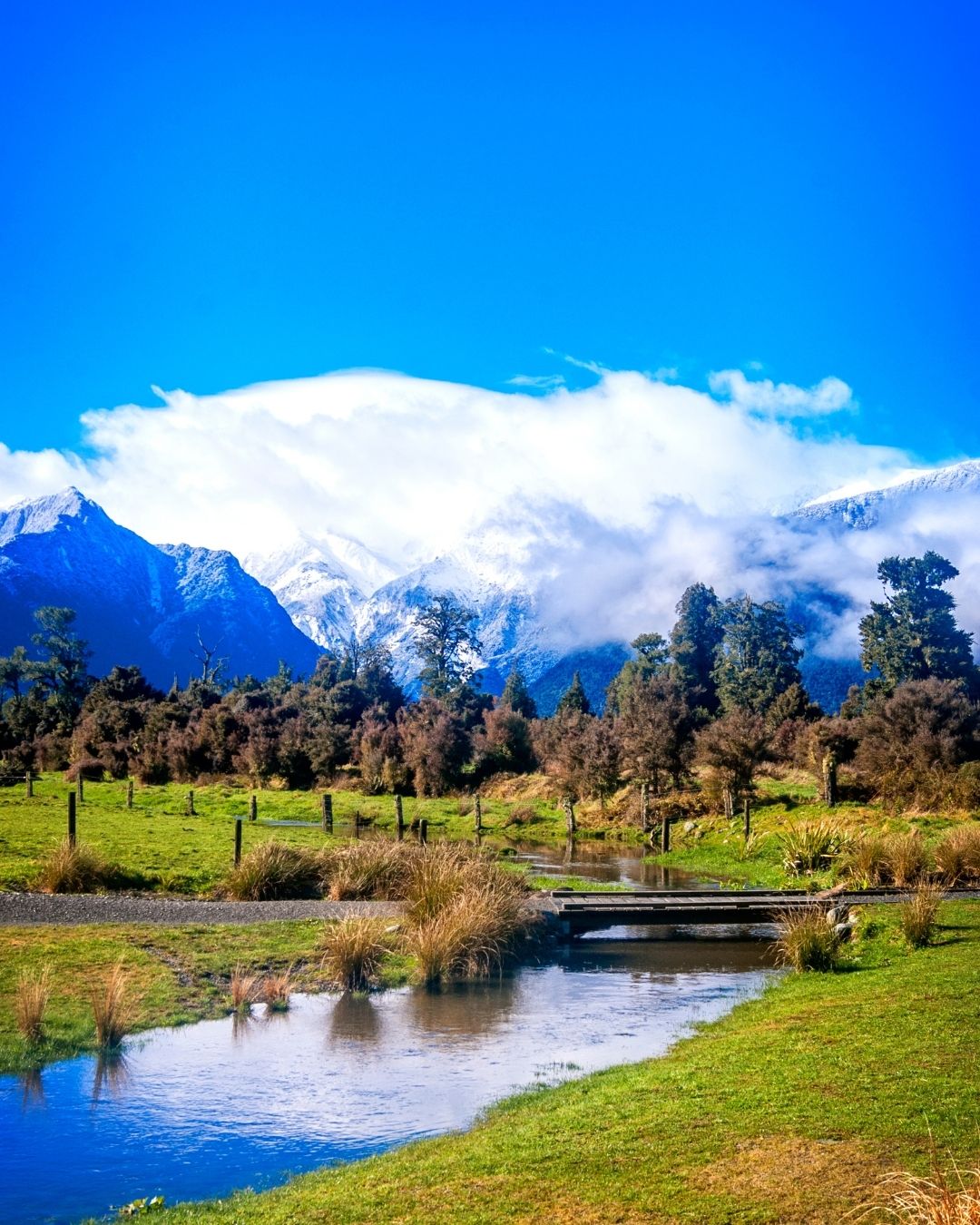 Rekomendasi Negara-Negara untuk Liburan yang Muslim Friendly-new zealand