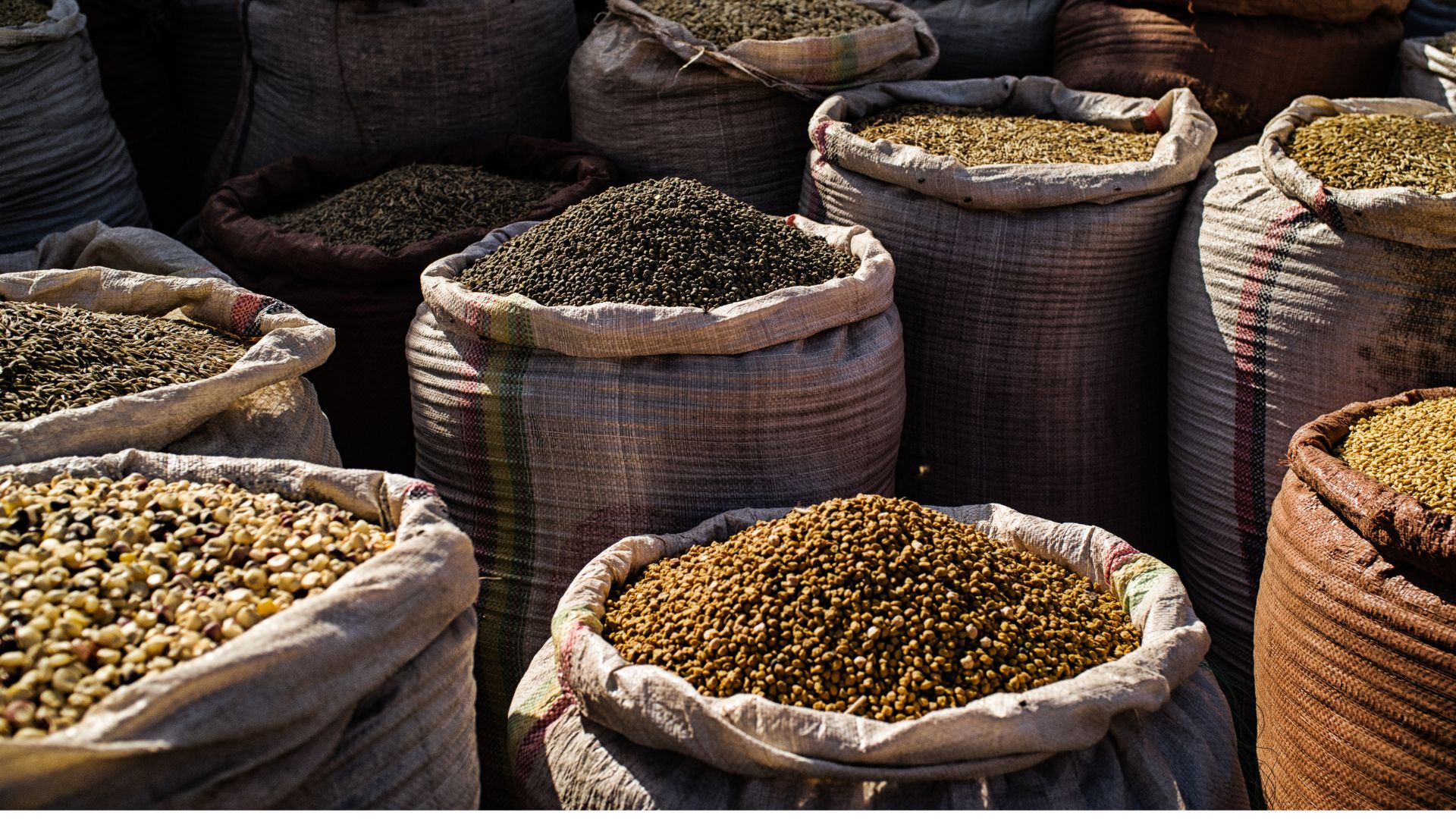 Tips Ngubek-Ngubek Pasar buat Bapak yang Baru Pertama Kali Belanja