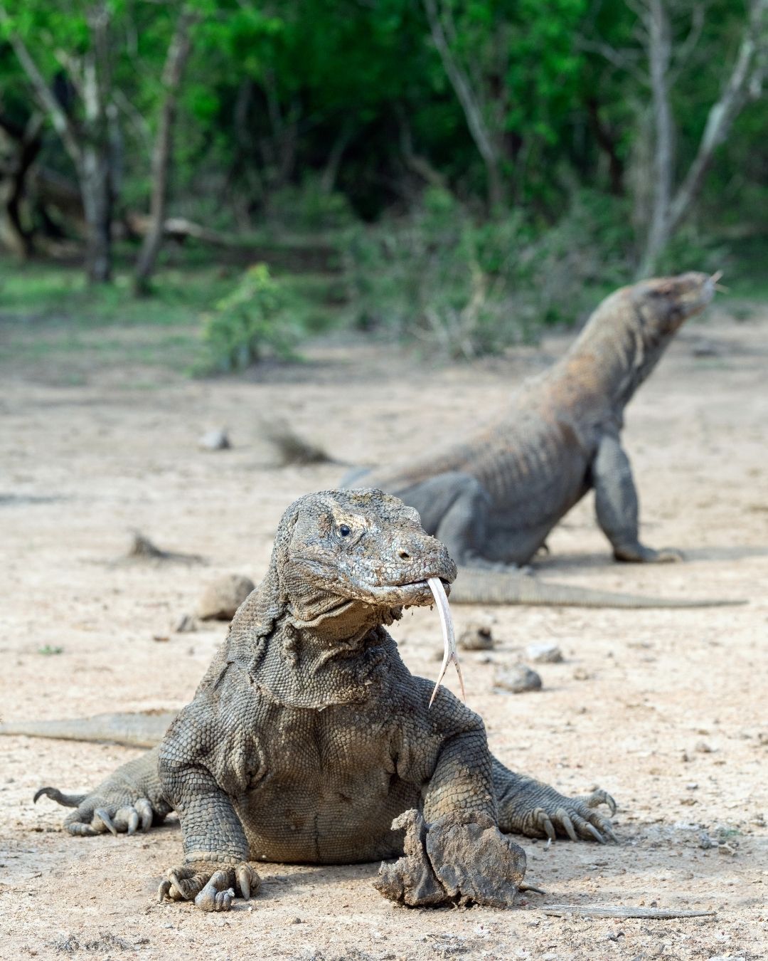 Pulau Indah di Indonesia tapi mematikan dan berbahaya