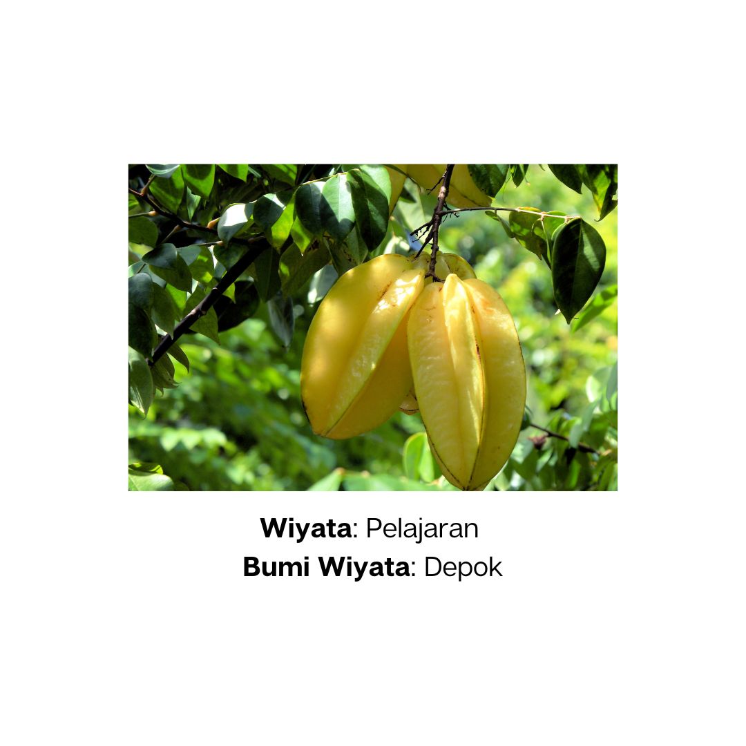 Kata-Kata yang Sering Warga denger Tapi Kagak Tau Artinya