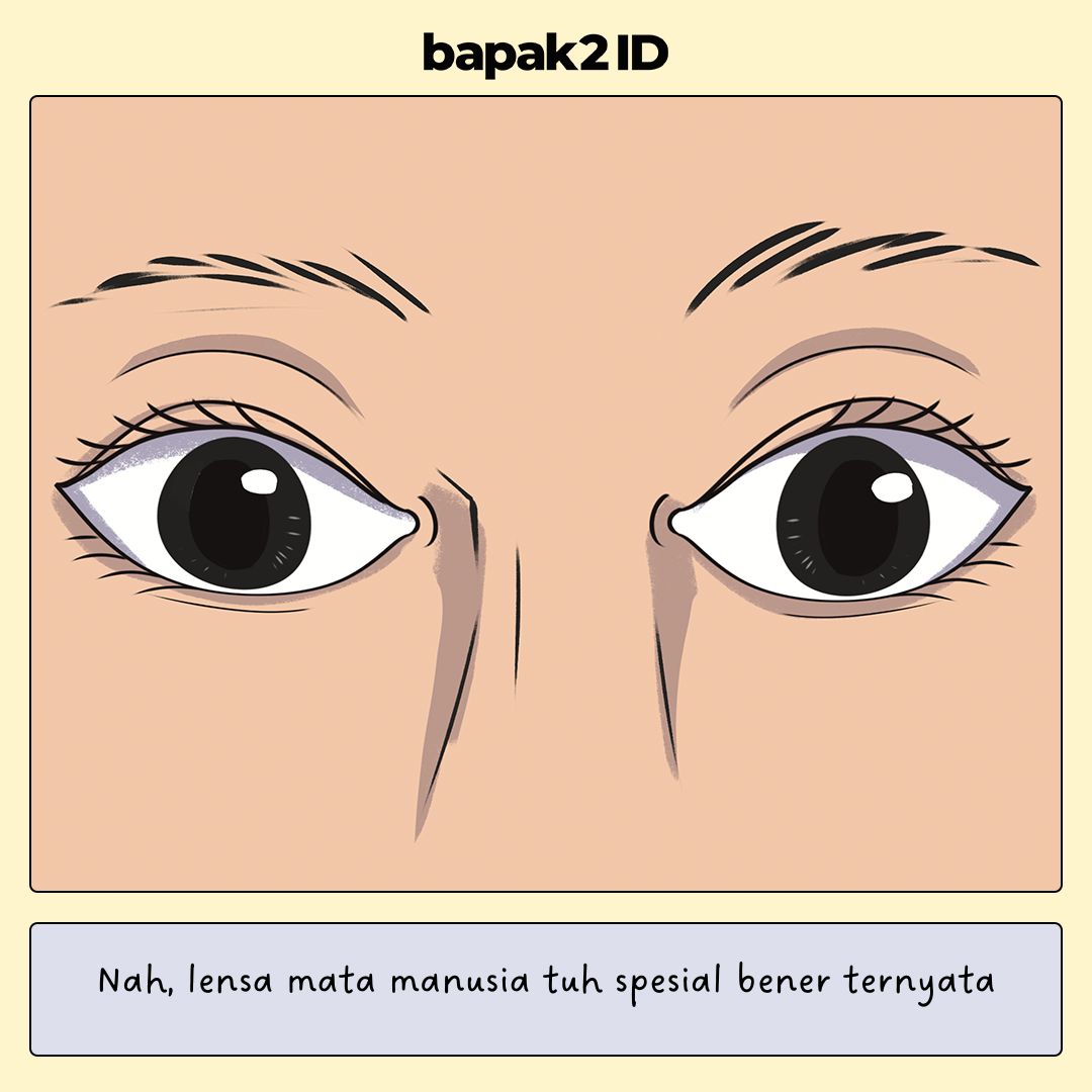 Bentuk Muka Bapak di Cermin Apa sama Kayak yang Orang Liat Langsung?