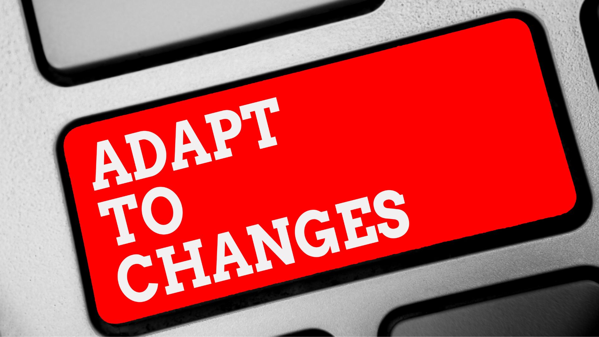 review buku parenting without border