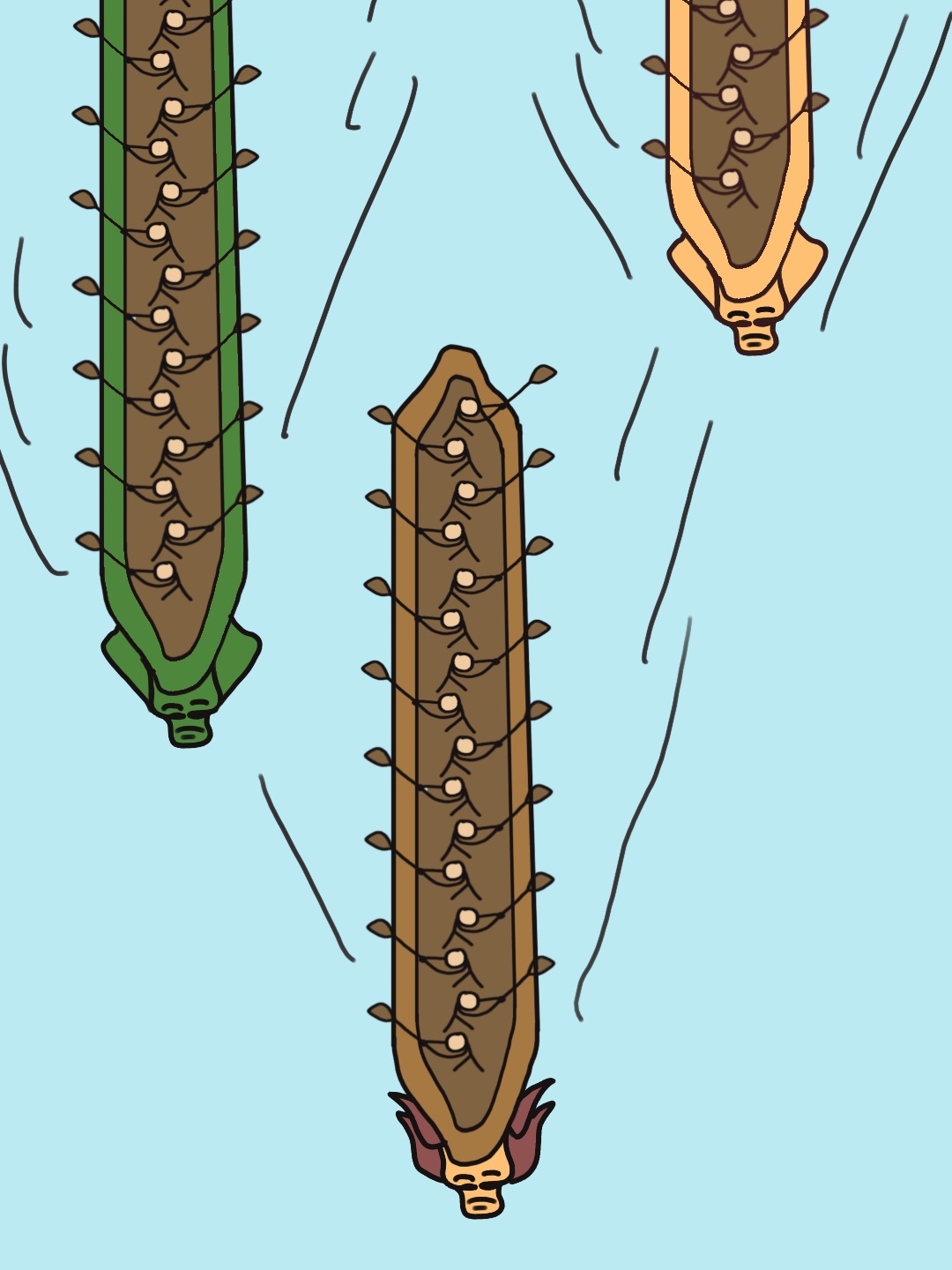 pacu jalur ilustrasi