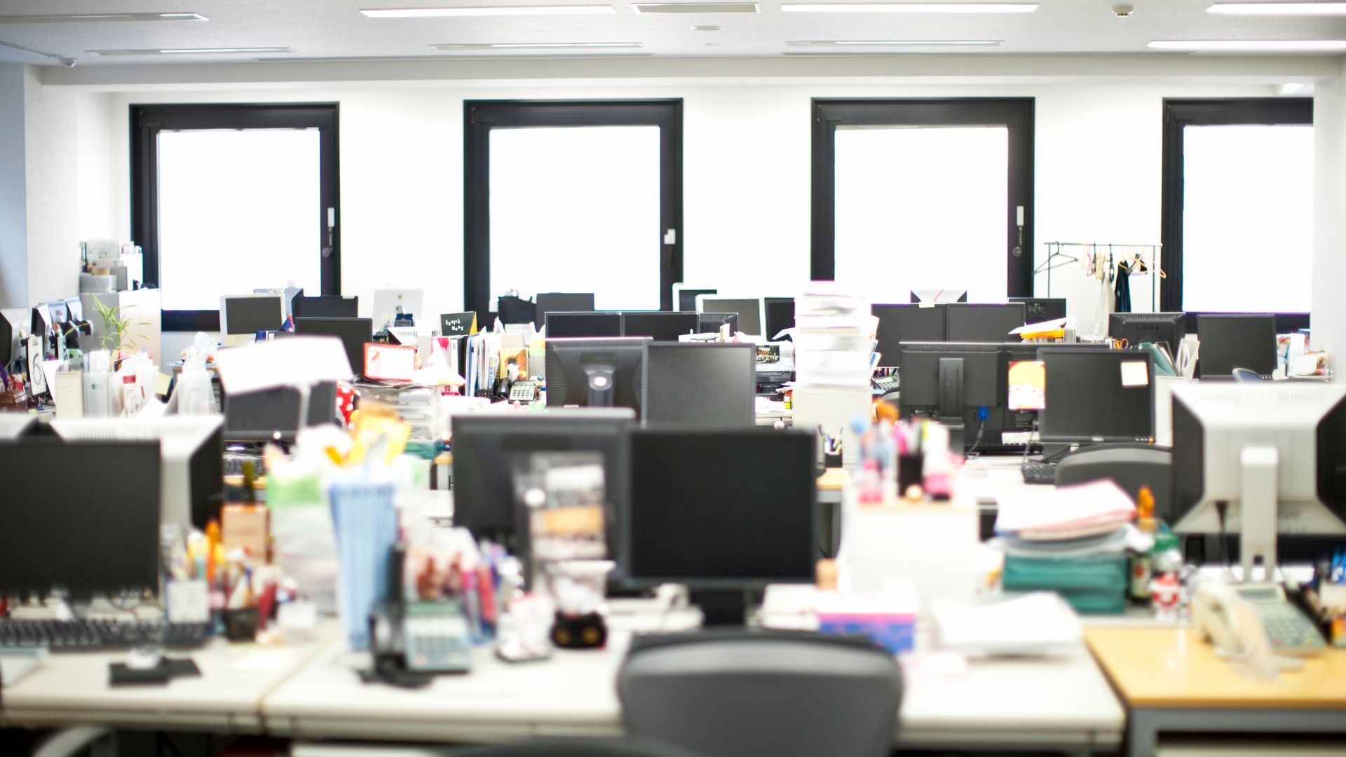 fenomena quiet quitting