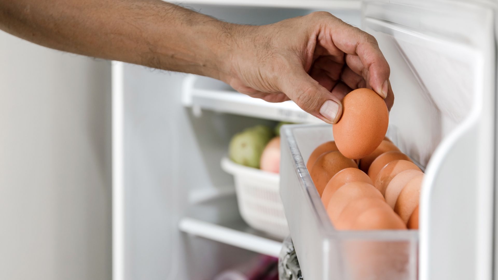 umur penyimpanan telur