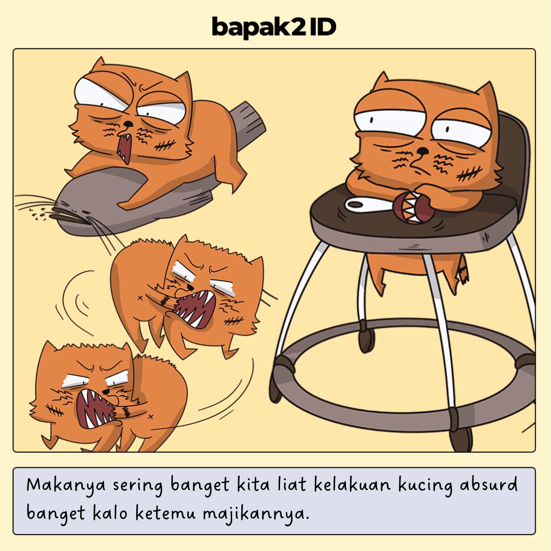 Kucing Piaraan di Rumah Ngeliat Bapak Sebagai Apa Sebenernya?