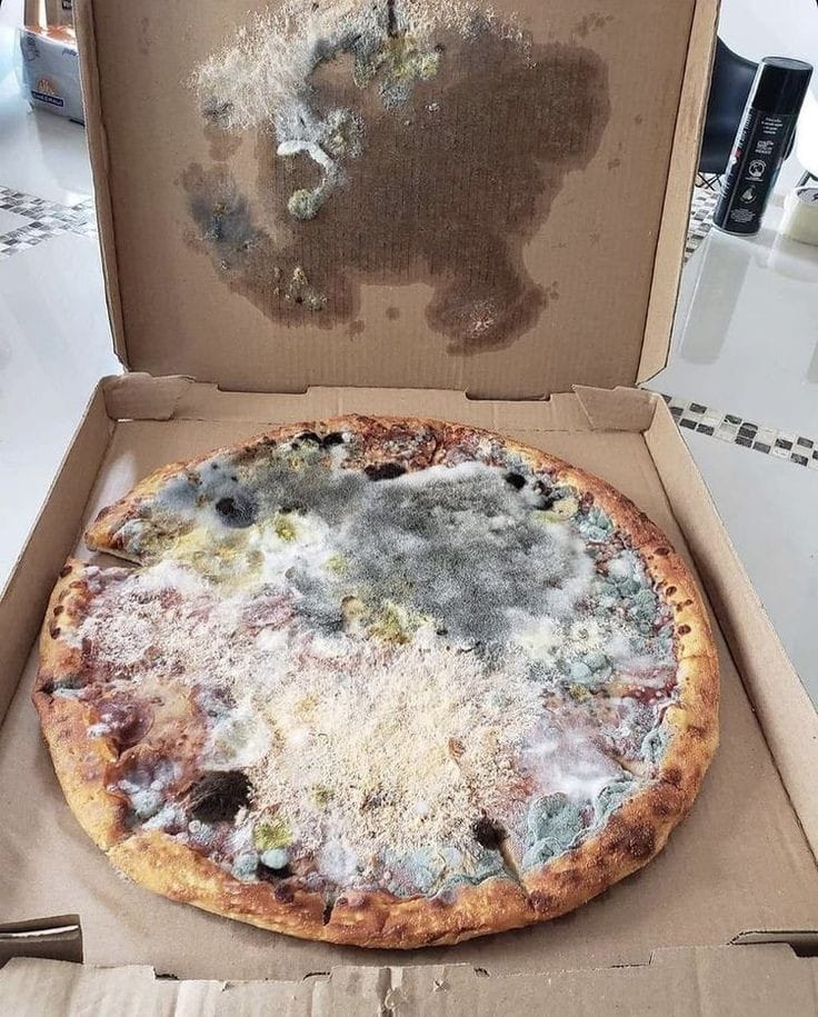 ide makanan yang bisa bapak pilih kalo bingung mau makan apa