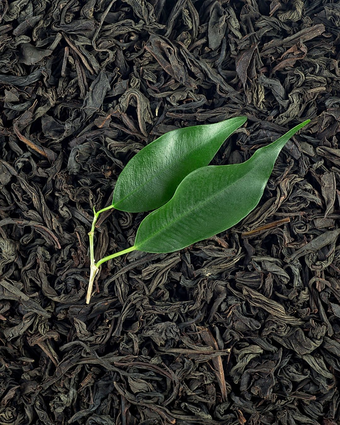 jenis teh lokal enak