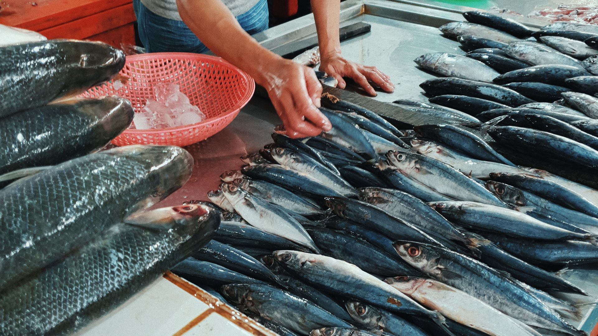 Tips Ngubek-Ngubek Pasar buat Bapak yang Baru Pertama Kali Belanja