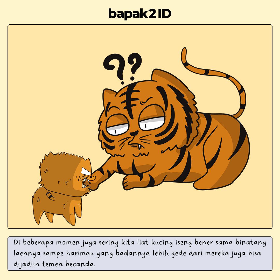 Kucing Piaraan di Rumah Ngeliat Bapak Sebagai Apa Sebenernya?