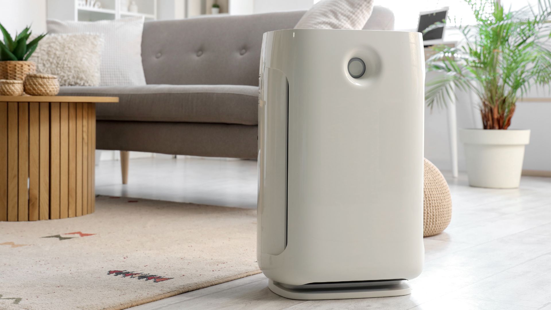 Barang-Barang Rumah Tangga yang Bisa Ngubah Hidup Jadi Lebih Mudah